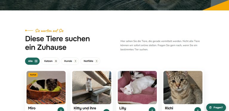 Tierübersicht auf tierschutz-wsf.de mit Filter nach Katzen, Hunden und Notfällen