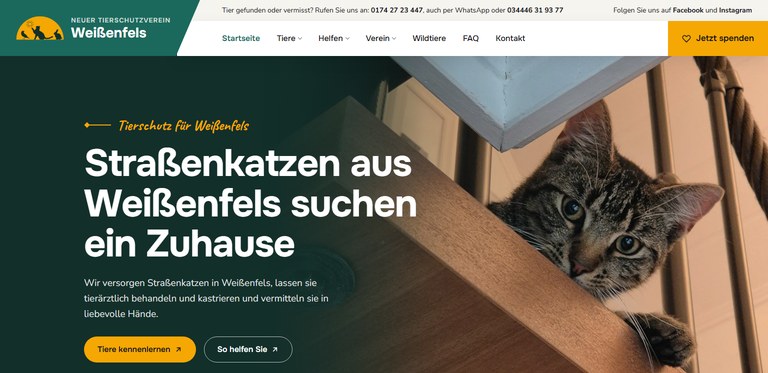 Laravel-Referenz: Website des Neuen Tierschutzvereins Weißenfels e.V. mit Tiervermittlung
